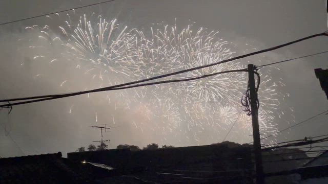 花火大会の記事動画