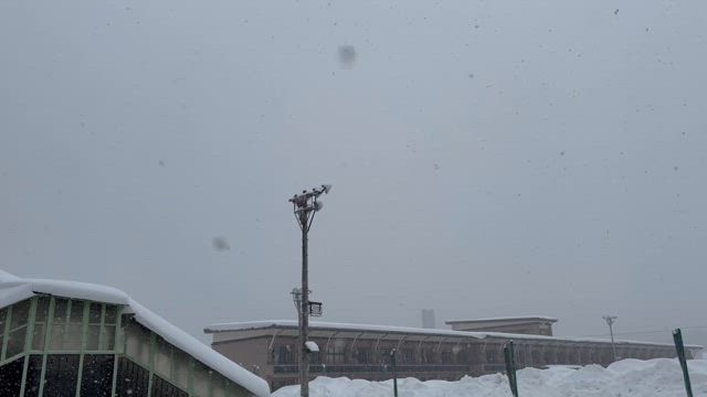 大雪予報が出ています⛄の記事動画