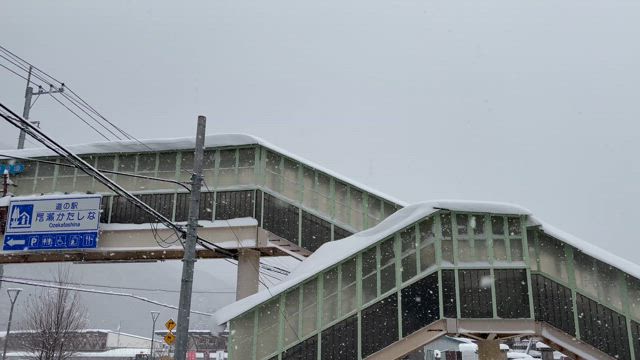 雪一面❄の記事動画