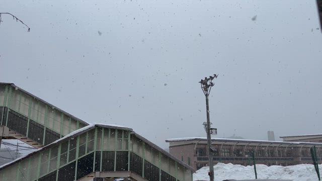 雪が降ってきました⛄の記事動画