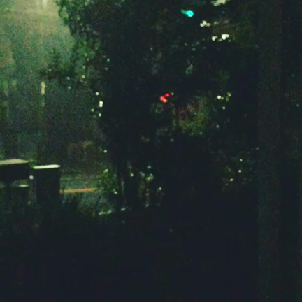 台風１５号の直撃を受けて、停電したり、庭木が折れたよの記事動画