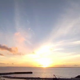 島からの便り(音でます)の画像