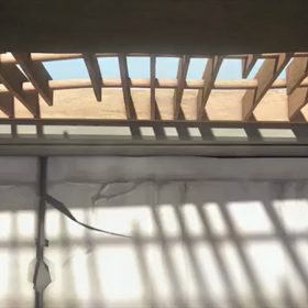 【Season1.59】無言語アニメーション紹介の画像