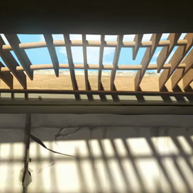 【Season1.41】無言語アニメーション紹介の画像