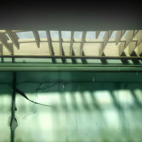 【Season1.56】無言語アニメーション紹介の画像