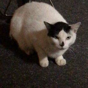 ハナコで1ヶ月の画像