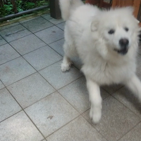ﾜﾗの画像