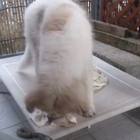 体 重測定の画像