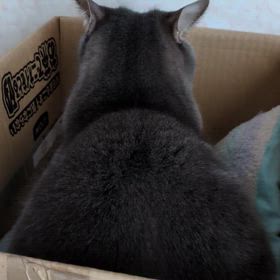 ☆後ろ姿☆の画像