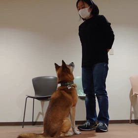 コツコツと一緒に練習して完成するまでの時間が楽しいの画像