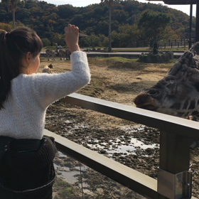 アドベンチャーワールド♪②の画像