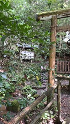 《セラピストの浄化の旅》　高千穂で感じた龍神様との不思議な体験の記事動画