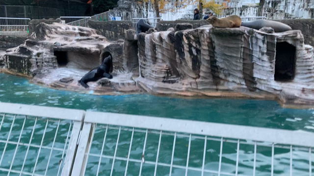 動物園へいこうよ♪の記事動画