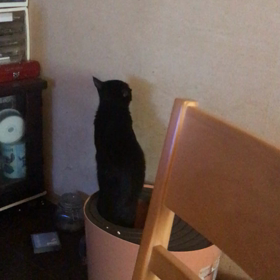 うちのの画像