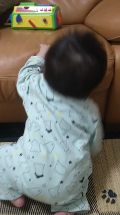 嬉しいこと♡の記事動画