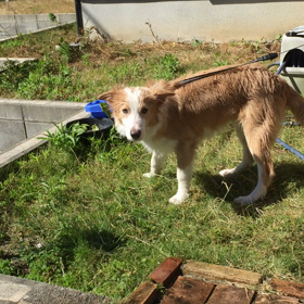 暑いときは...の画像