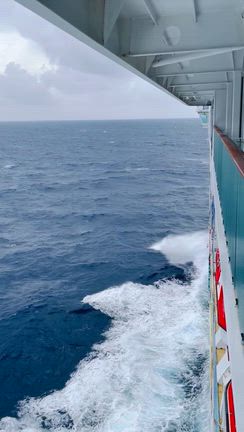 揺れるSea Dayの記事動画