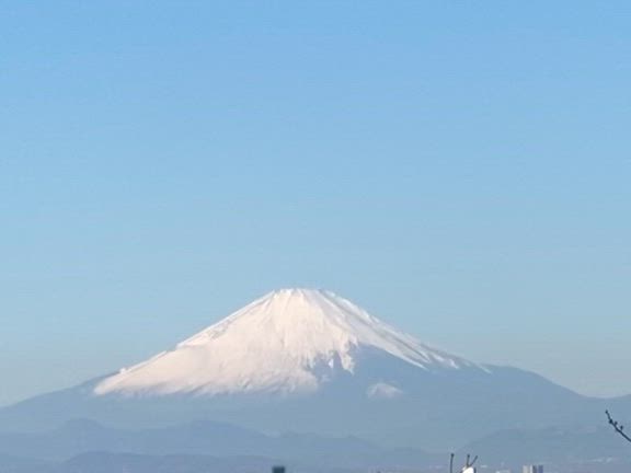 成人の日ばんざいヽ((*ˊᗜˋ*))/の記事動画
