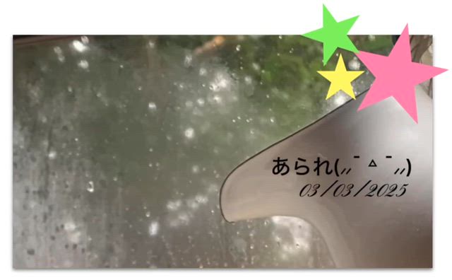 新しいこと〜♪♪の記事動画