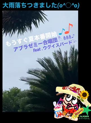 好きなことに いっちょくせん ♪♪の記事動画