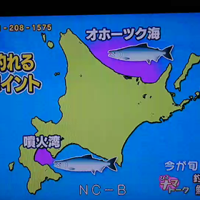 生放送無事終わりました❗の画像