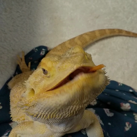むっちゃ怒る！の画像