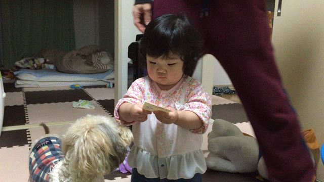 ☆お年玉ありがとう☆の記事動画