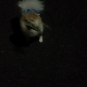 真っ暗の画像