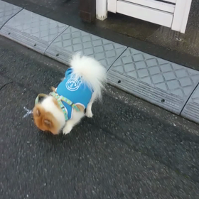 癖の画像