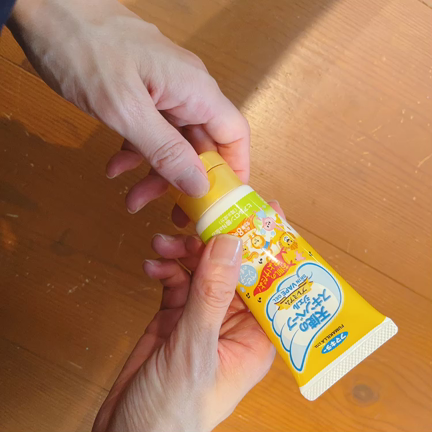 子供にも使える虫除けスプレーの記事動画