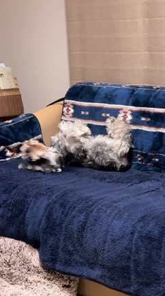 OBクラスは愉快な生徒さん達の記事動画