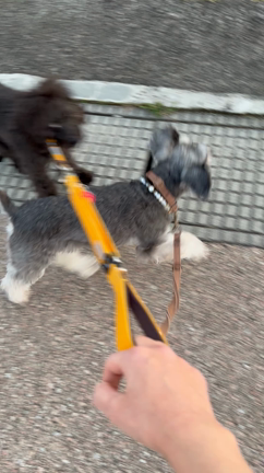 教師研究科のレッスンとの記事動画