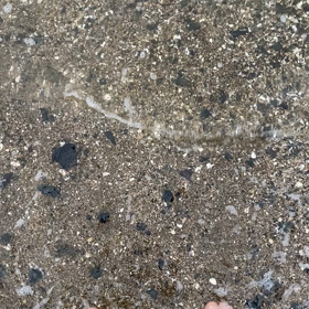 雨の画像