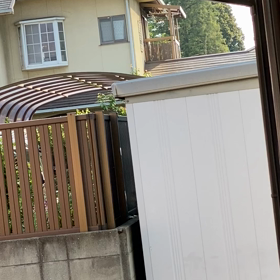 鳩っての画像