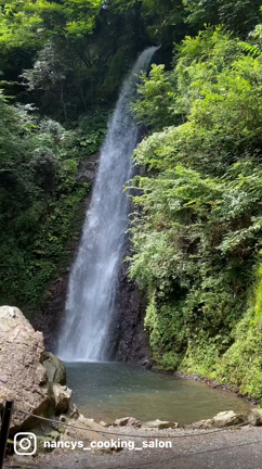 伝説の養老の滝‼️ 動画は迫力がある‼️の記事動画