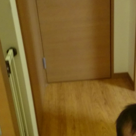 VS ドライヤーの画像