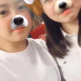 ✈️✈️の画像