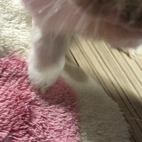 電車ホームにての画像