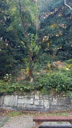 あい先生スピになったの？笑♡守護神に会いに泉神社へ⛩の記事動画