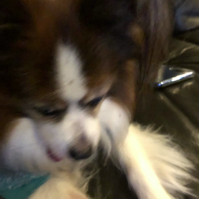 2020/10/19の画像