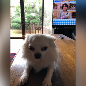 2020/09/19の画像
