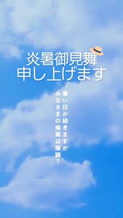 2024/08/03の記事動画