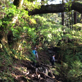 屋久島Trip DAY３ 動画編の画像