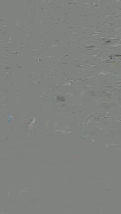 やっぱり私だわ。運の持ち主ってこういう事の記事動画