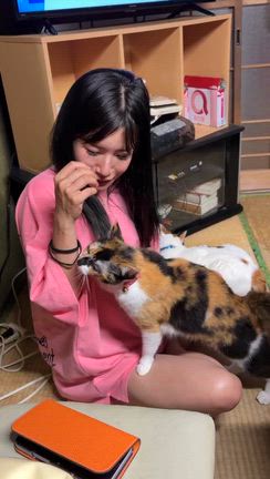 ミニブタは言い過ぎの記事動画