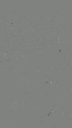 釣りバカの叔父が驚いた私の結果の記事動画