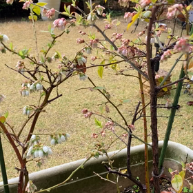 お天気は、荒れ模様ですね？の画像