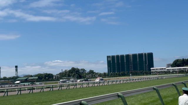 マルガは虹の橋を渡る　訃報の記事動画
