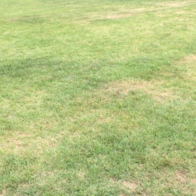 ★フレブル全力疾走動画の画像