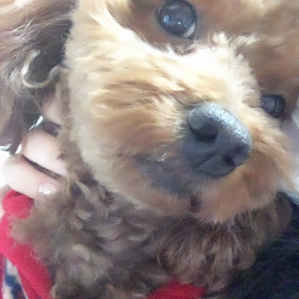 3月のネイル☆384の記事動画